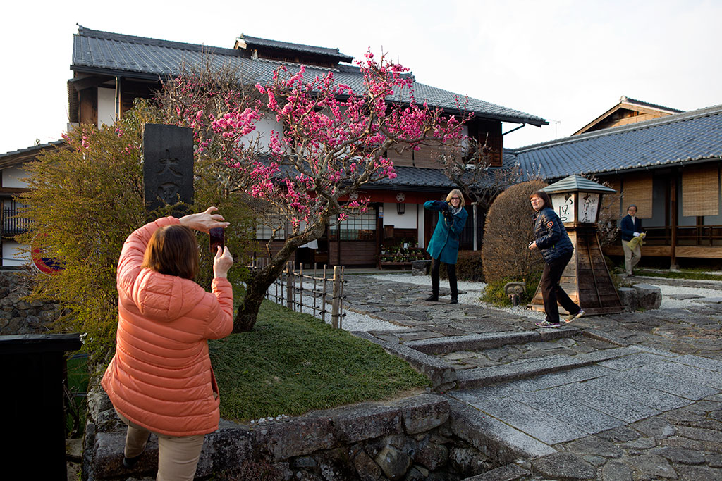 magome7.webb