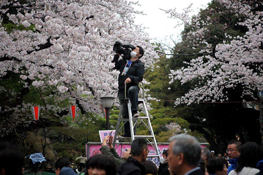 tokyo13.webb